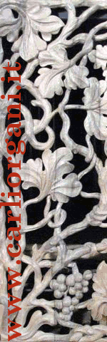banner carliorgani.it